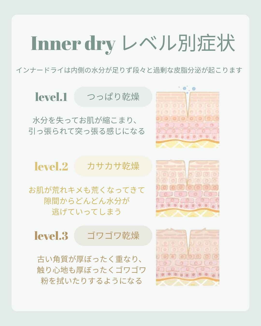 ⋱女性の８割はインナードライ！？⋰